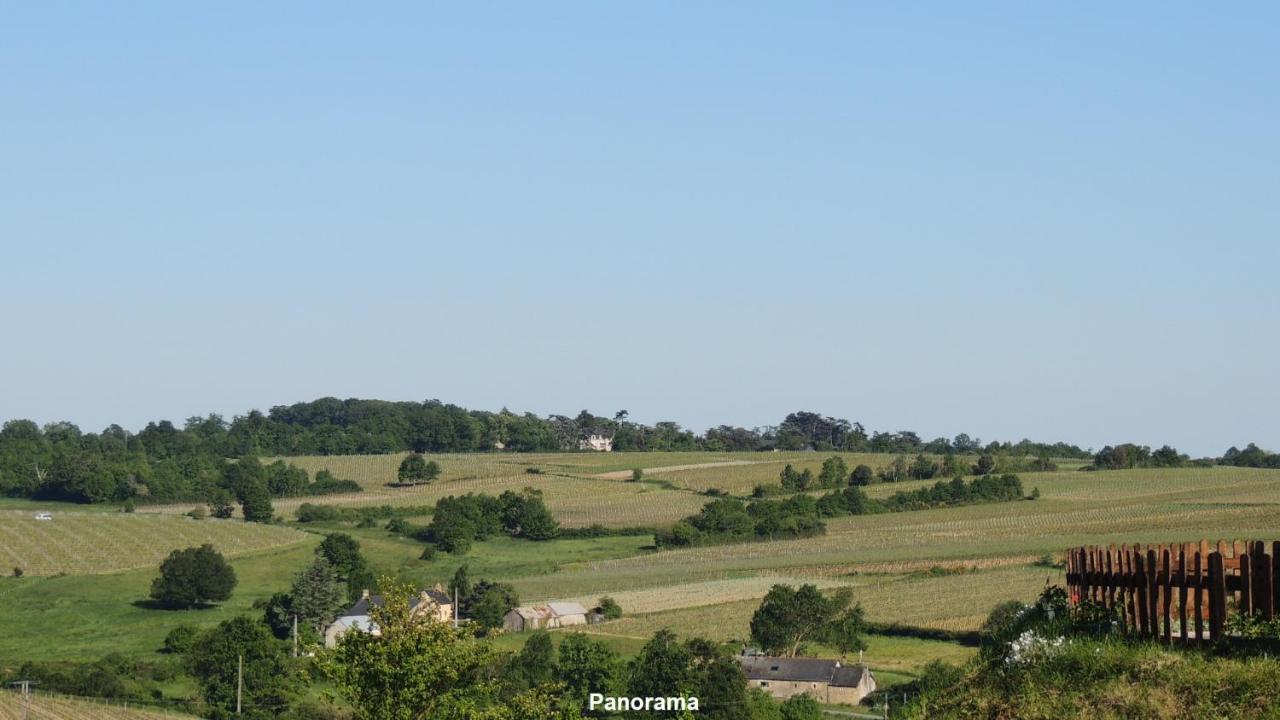 Gite Hyrom 5 Places Moulin De La Placette Faye-d'Anjou Exterior foto